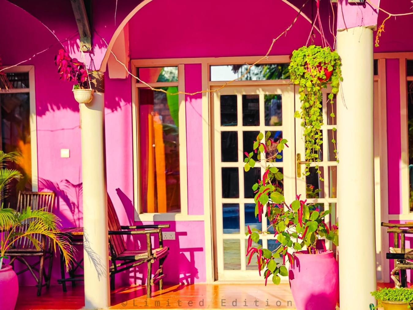 Nungwi Roses Villa Luaran gambar