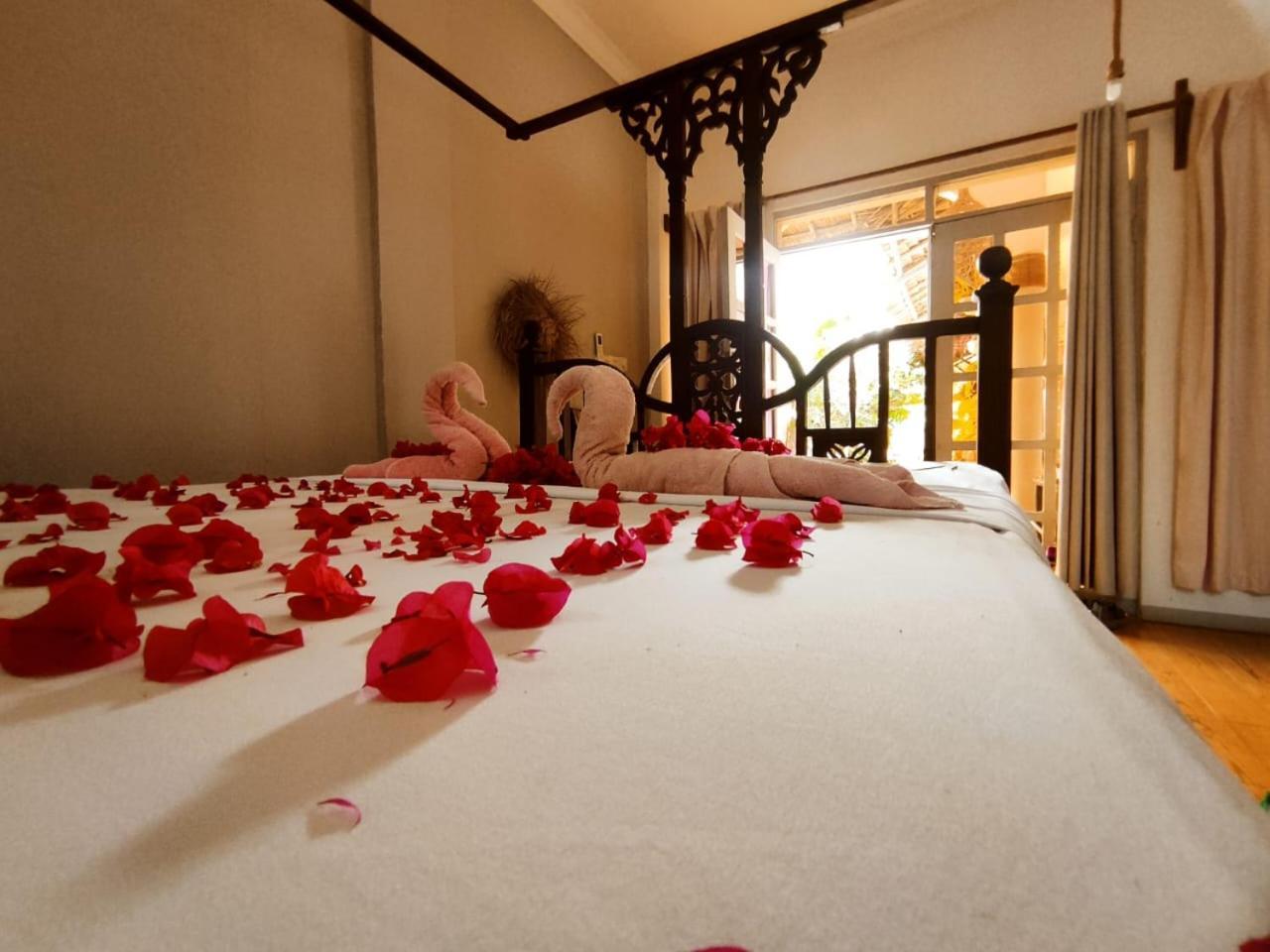 Nungwi Roses Villa Luaran gambar