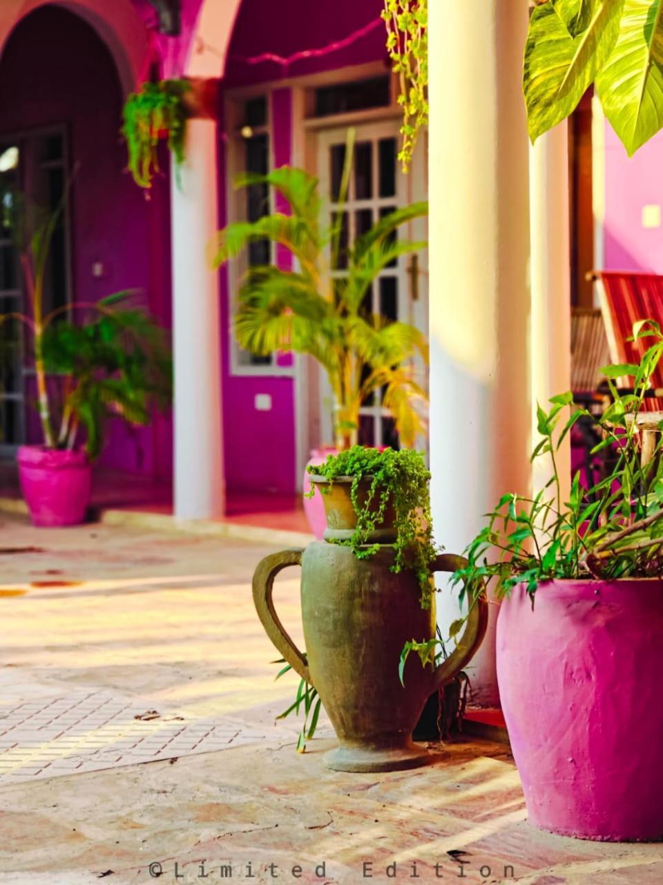 Nungwi Roses Villa Luaran gambar