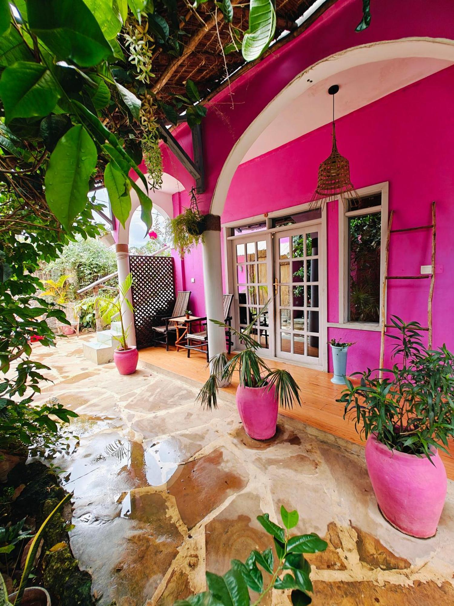 Nungwi Roses Villa Luaran gambar