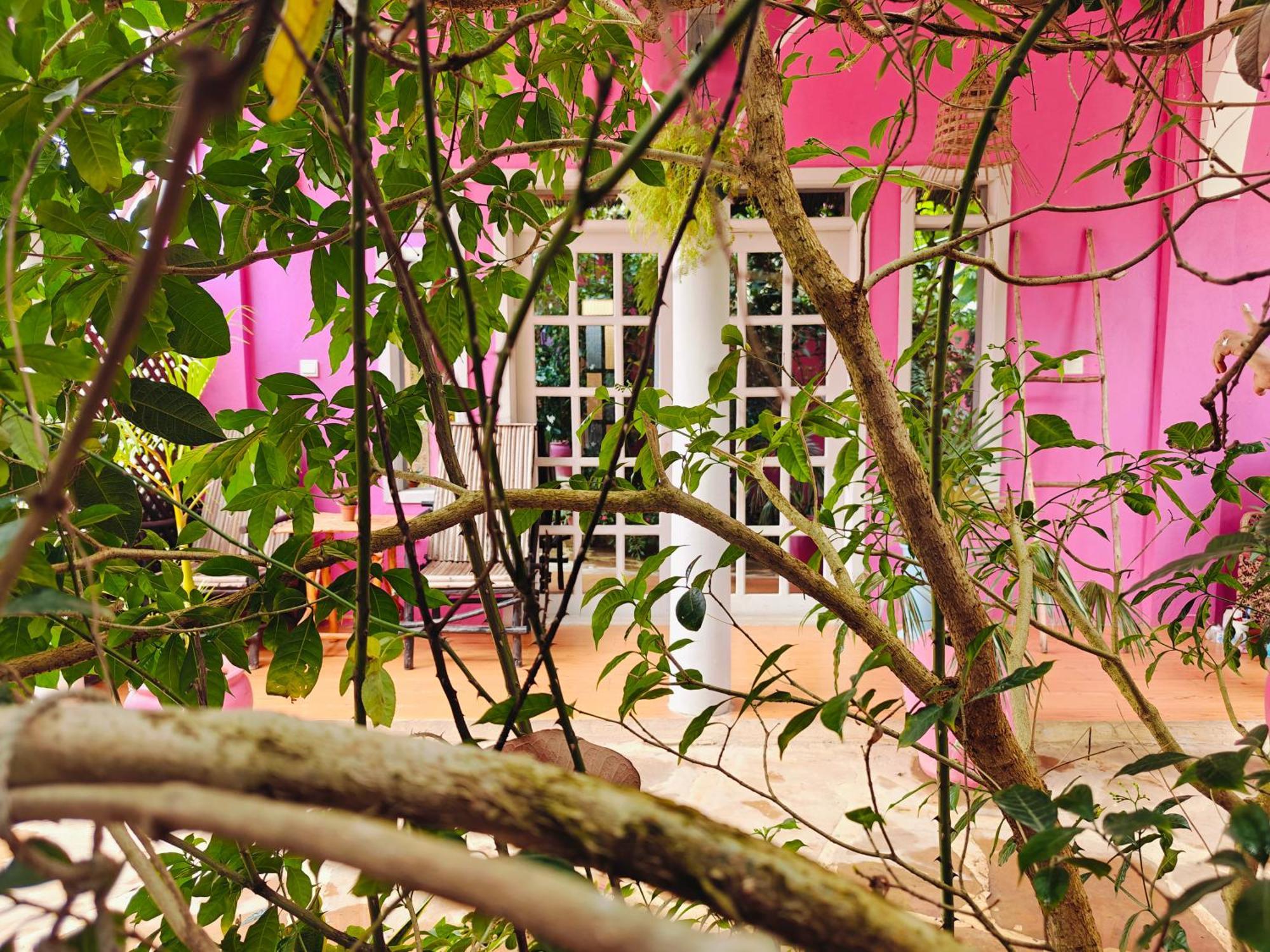Nungwi Roses Villa Luaran gambar